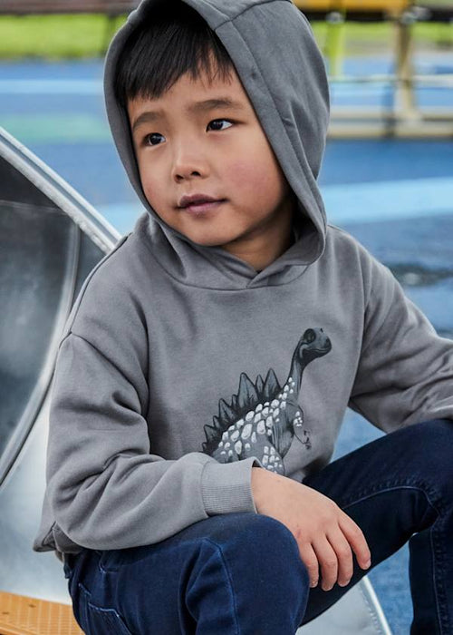 Dinosaur Pullover Hoodie